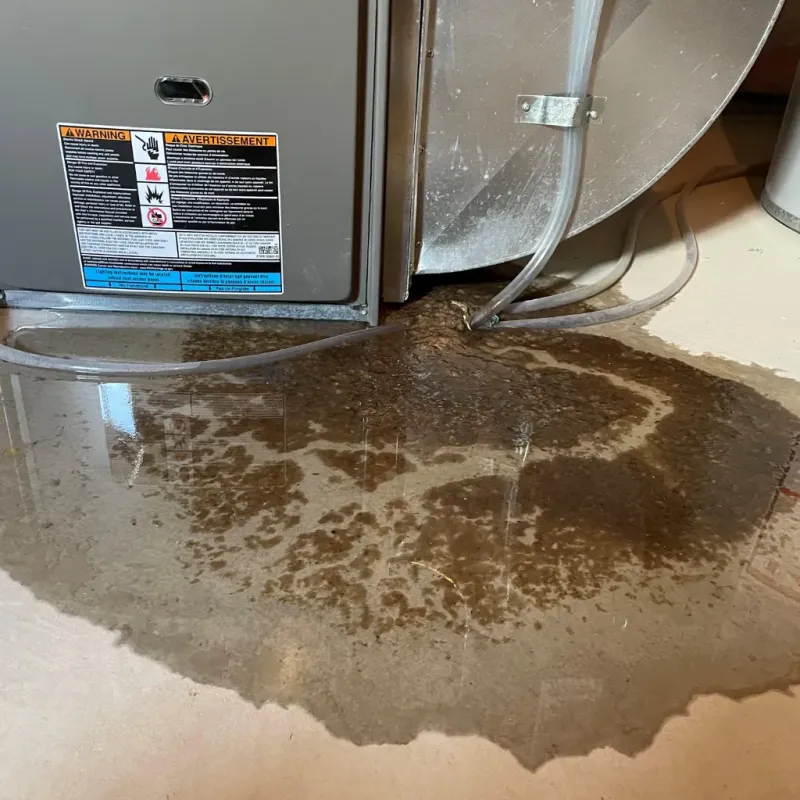 Appliance Leak Cleanup in Lawai, HI