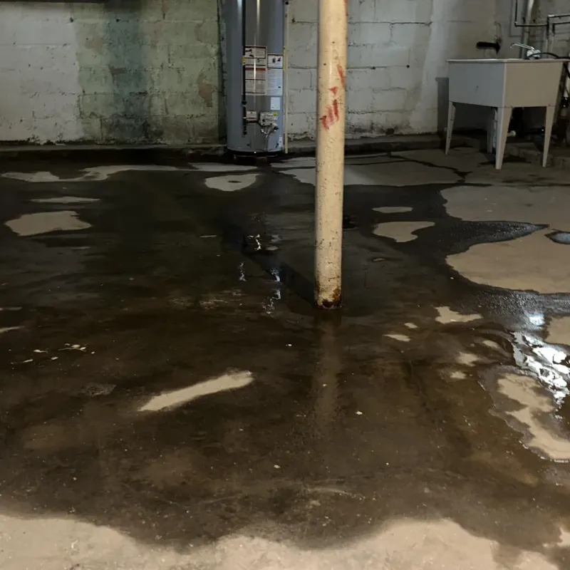 Emergency Water Extraction And Removal in Lawai, HI